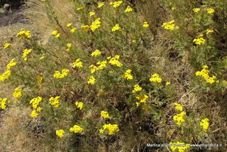 rra delle Concazze-05-08-2014 13-06-29